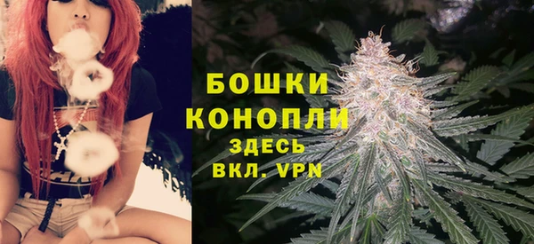 прущие крисы Богданович